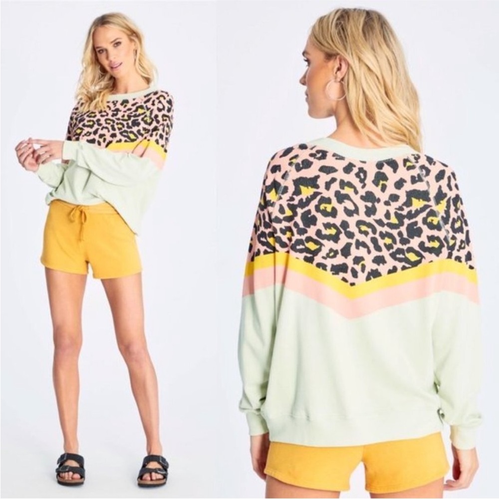 NWT Wildfox Party Cat Sommers Sweatshirt | Aloe Size Medium